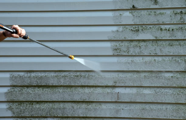 Mold Testing and Removal in Glen Alpine, NC